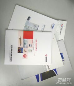 樂清樣本畫冊(cè)設(shè)計(jì)與印刷服務(wù) 宣傳冊(cè)、單張、說明書與網(wǎng)站設(shè)計(jì)一體化解決方案